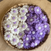 Handcrafted daisy candle with floral design – Pavanea